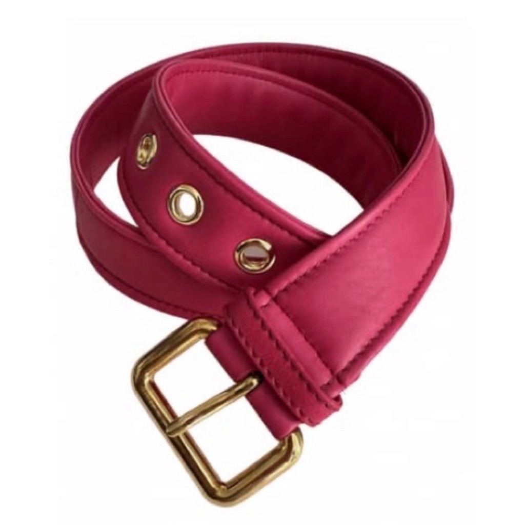 Miu Miu Pink Belt With Gold Accents